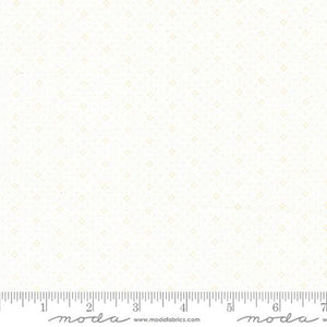 20488 84 Eyelet Ivory Latte