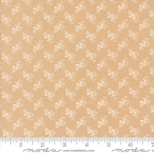 35404 12 Buon Natale Sugar Cookie