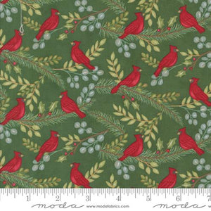 56132 16 Winter Friends Spruce