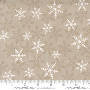 56134 12 Winter Friends Fog