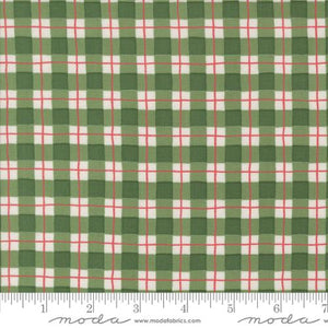 56137 16 Winter Friends Spruce
