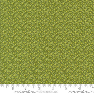 31714 19 Sally's Stitches