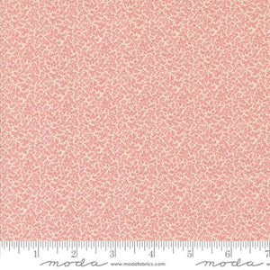 31720 12 Sally's Stitches