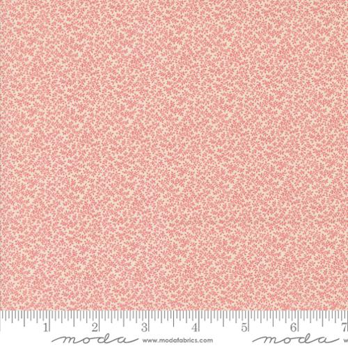 31720 12 Sally's Stitches