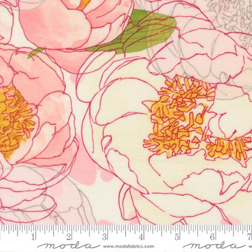 48790 11 Darlling Peony