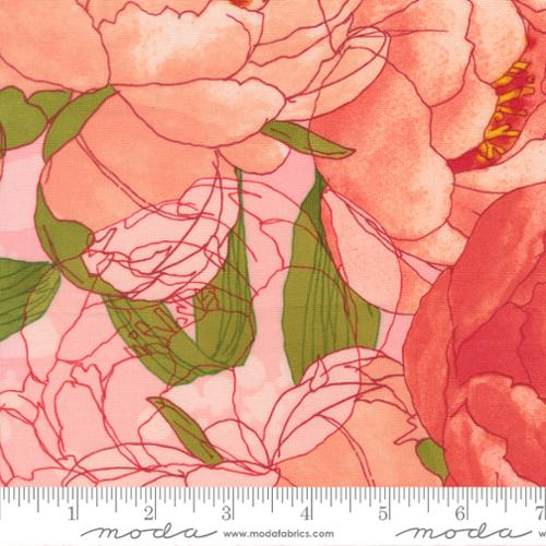 48790 13 Darling Peony