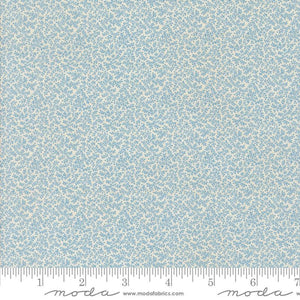 31720 18 Sally's Stitches