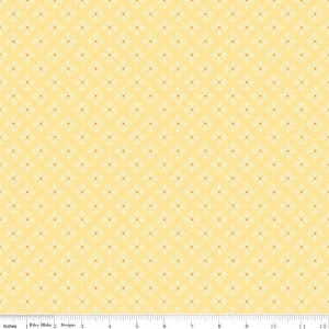 C6409-Yellow Bee Basics